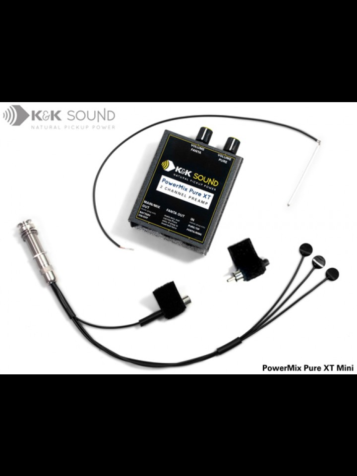 Dual Source Pickup/Pickup System with Preamp
